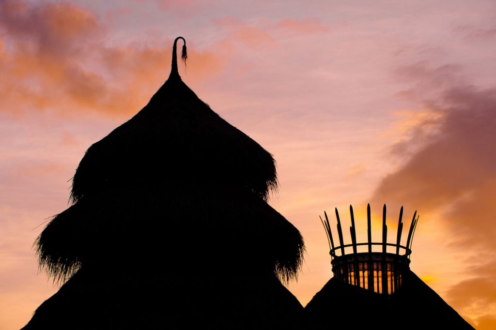 DjunaIvereighforFivelementsDesignDetails4 5