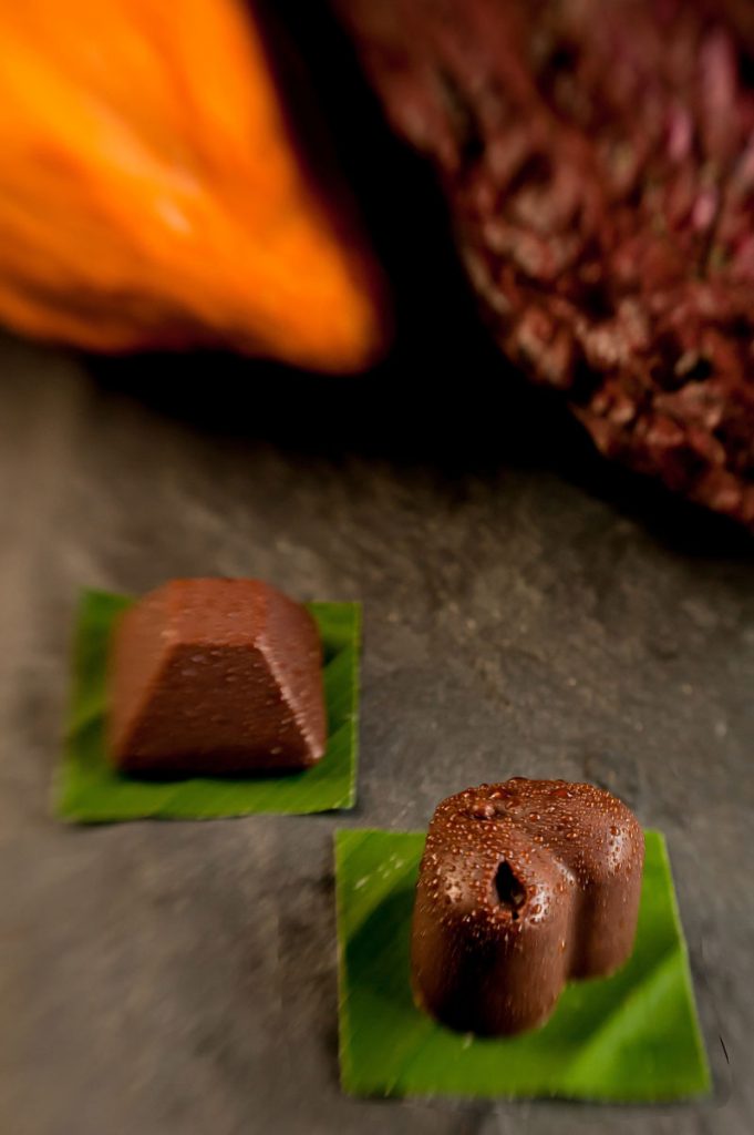 DjunaIvereighforFivelementsDesignDetails73 35