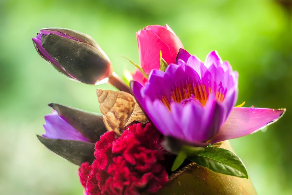 DjunaIvereighforFivelementsDesignDetails80 38