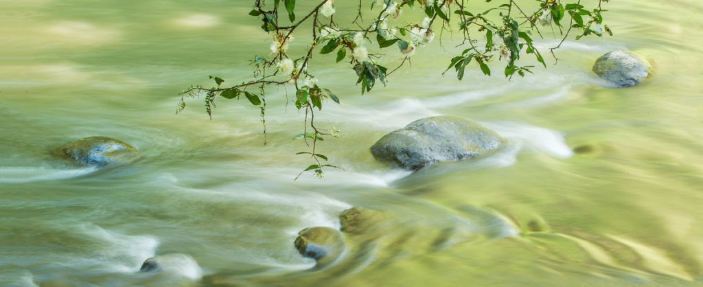 DjunaIvereighforFivelementsDesignDetails85 40