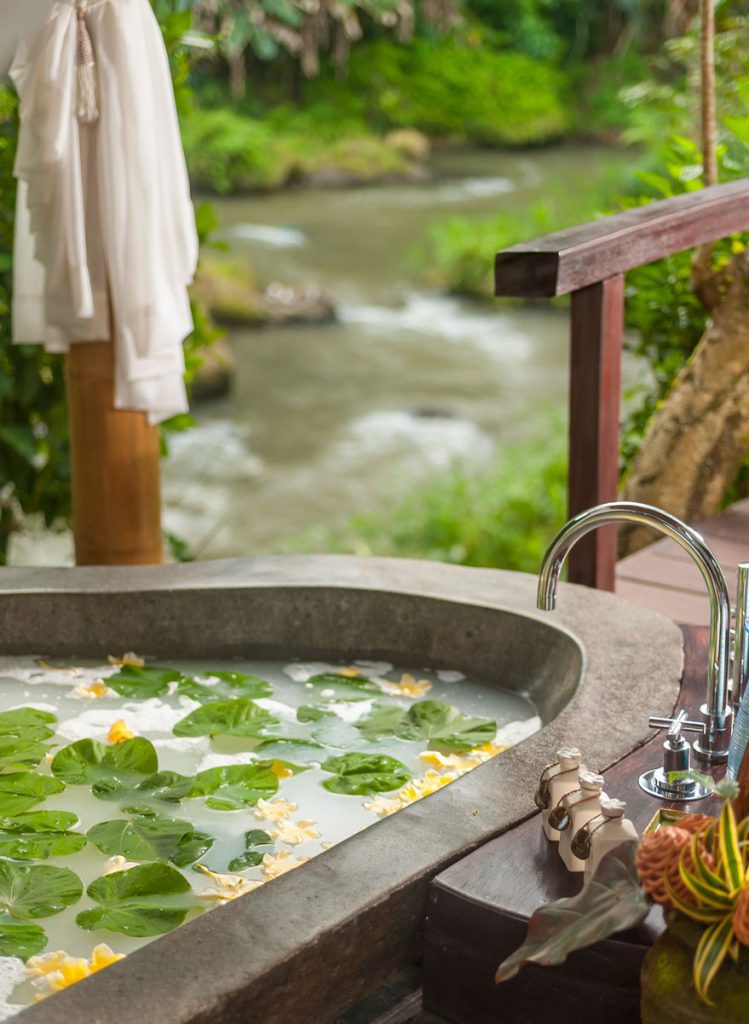 DjunaIvereighforFivelementsHealingWellness 44