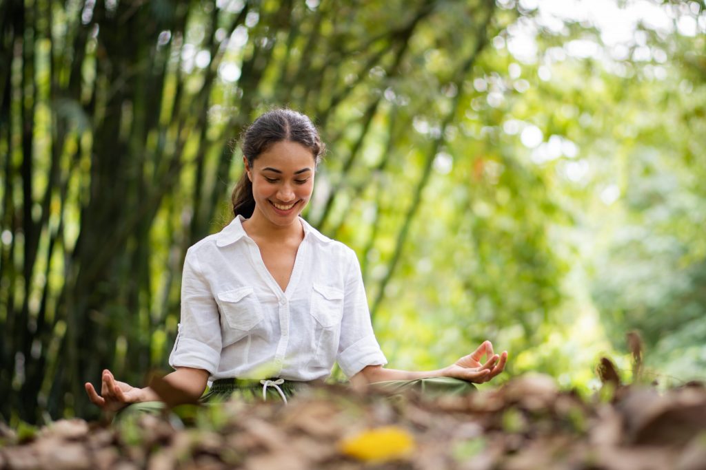 Bird-Watching-Forest-Spa-03-scaled