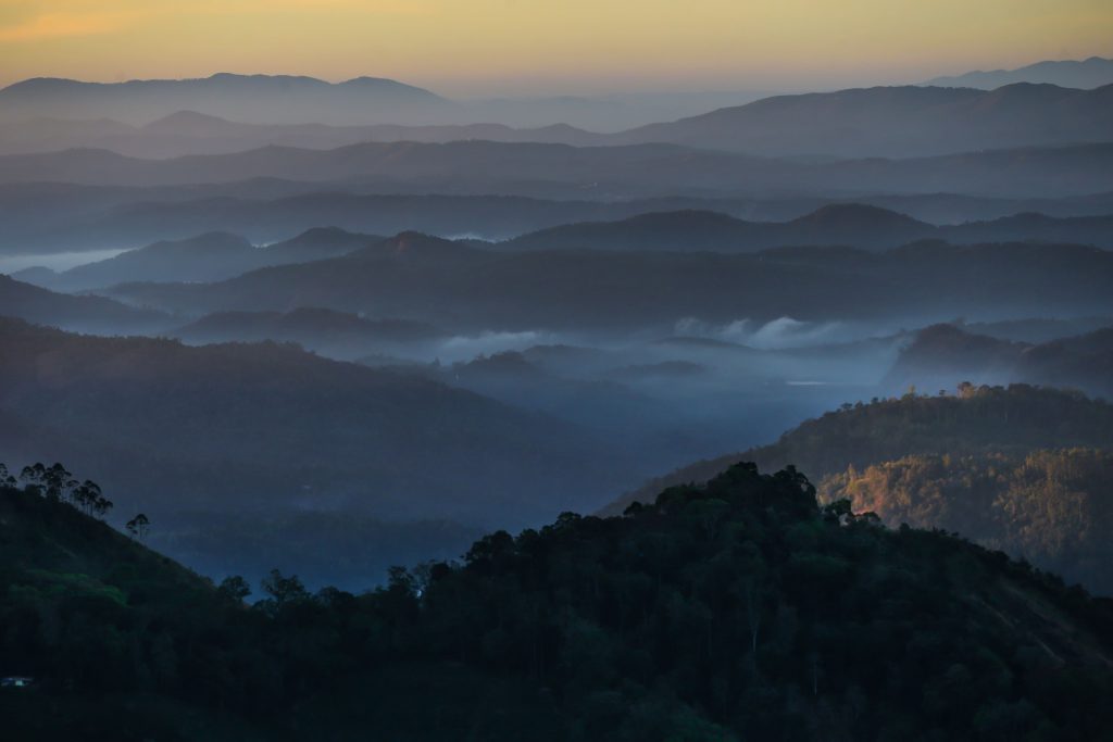 Fragrant_Nature_Best_Hotel_in_Munnar_Mountain_Valley_View