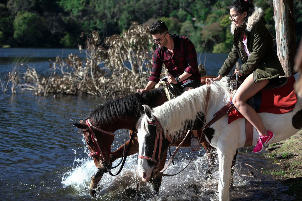 Fragrant_Nature_Best_Hotel_in_Munnar_Travel
