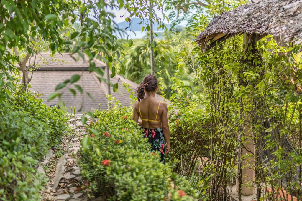 Mangosteen-Ayurveda-Wellness-Resort-Rose-Video-8