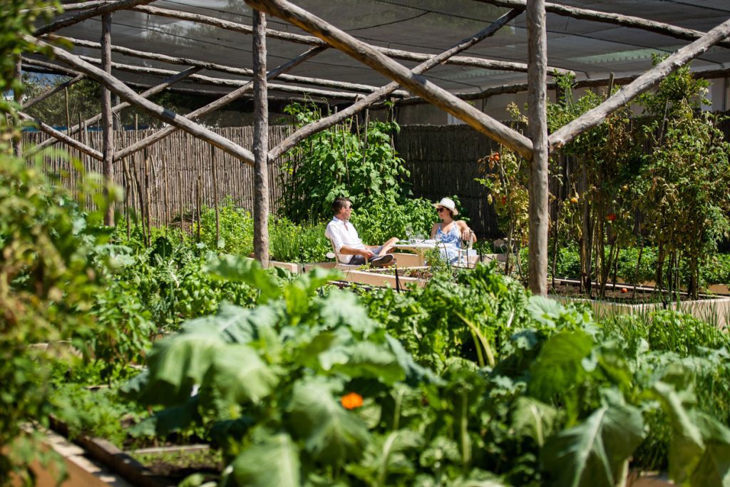 Santorini-Garden-Lunch-2500px-13