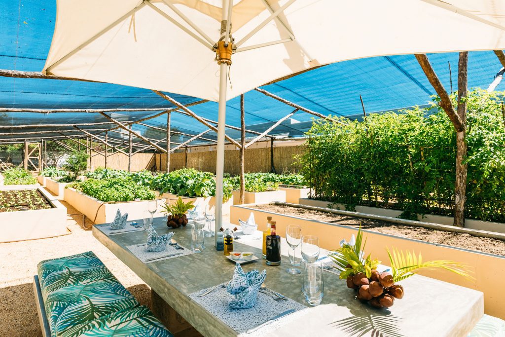 TABLE-2048px-SANTORINI-PHOTO-VEG-GARDEN-TABLE-007-HDR
