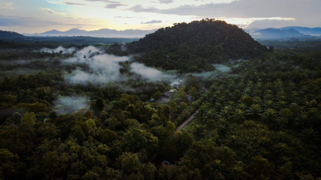 Video_1080295823_DJI_399_mp4_395621872_30000_202142161742_video_original.00_00_03_03.Still021-scaled